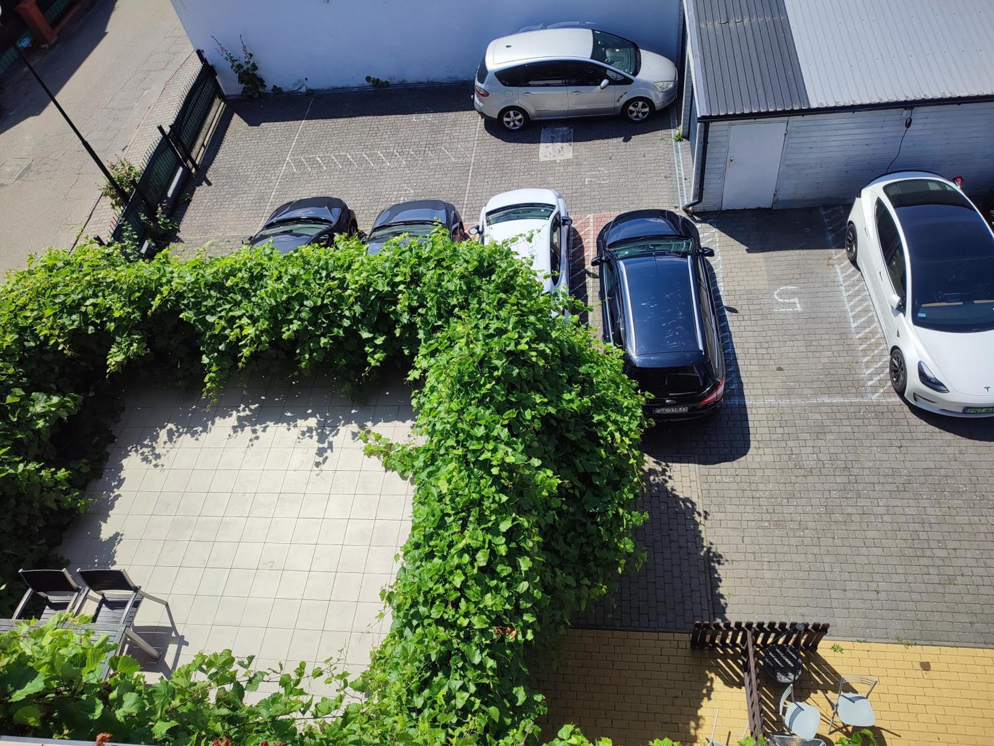 Elizabeth Apartman Rewal Kültér fotó